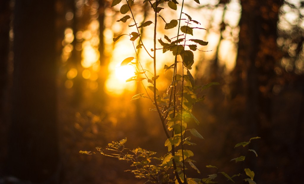 I am taking back my&nbsp;mornings